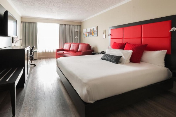 Hotel Universel Alma image 12